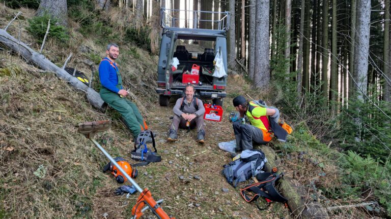 Frühjahrsputz am Hörnle