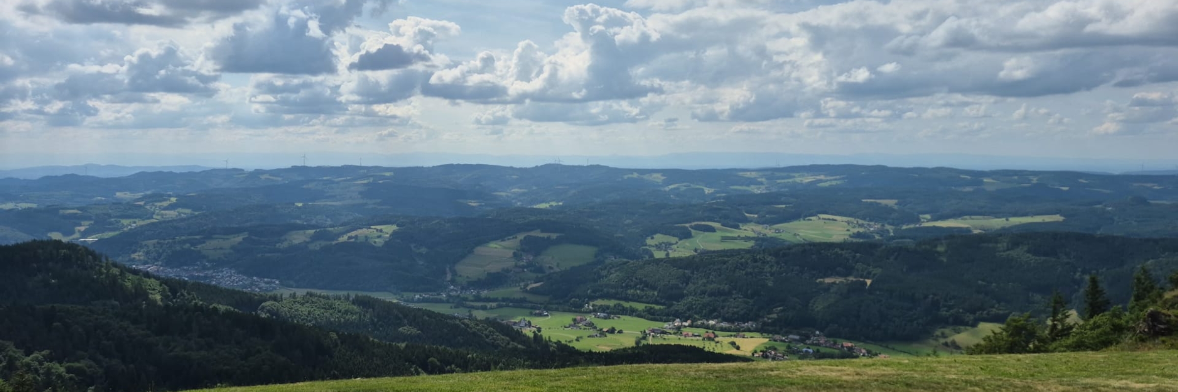 HansUhl